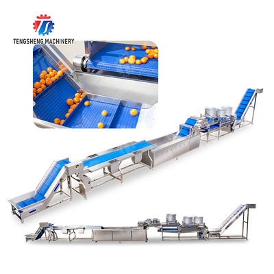 Multifunctional Fruit Sorting Machine Vegetable Washing Drying Production Line