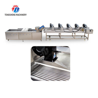 Fruits cleaning and drying production line Fruit Vegetable FOOD processing production Machine