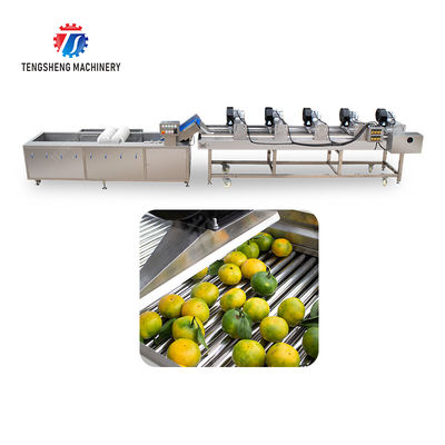 Tengsheng High Voltage Spraying Fruit And Vegetable Processing Line Industrial residual degradation