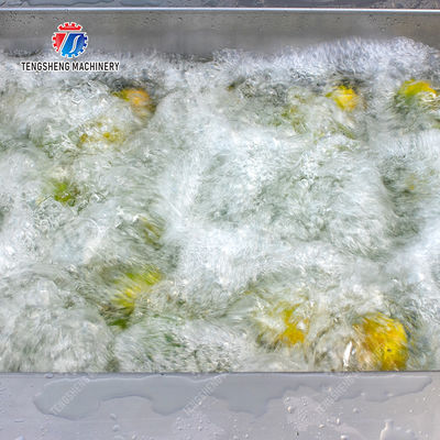 Air Brush Cleansing Citrus Processing Line ,  Anti Abrasion Sullage Removal Potato Processing Line