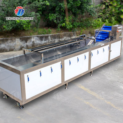 Wash Washer Washing Cleaning Fruit Orange Leaves Vegetables sward beans  soybeans  green beans  chickpeas beans  red beans  mung beans  Vegetables bubble washing processing production machine
