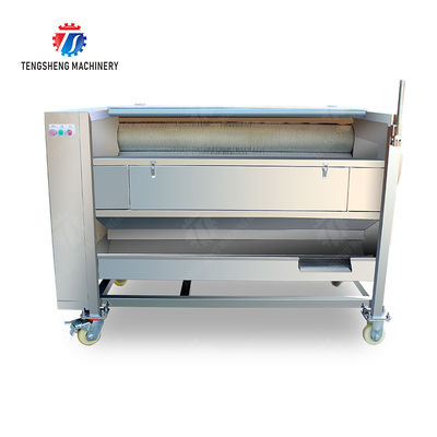 Ginger Potato Carrot Taro Sweet potato Yam Saiko persimmon Papaya Brush cleaning and peeling machine Wash Washer Washing Cleaning Dryer Frozen  processing production Destoning