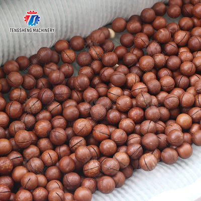 Sealed cover brush peeling machine soybeans  Potato Carrot Taro Sweet potato Yam Saiko persimmon Wash Washer Washing Cleaning Dryer Frozen  processing production Destoning