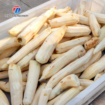 Sealed cover brush peeling machine soybeans  Potato Carrot Taro Sweet potato Yam Saiko persimmon Wash Washer Washing Cleaning Dryer Frozen  processing production Destoning