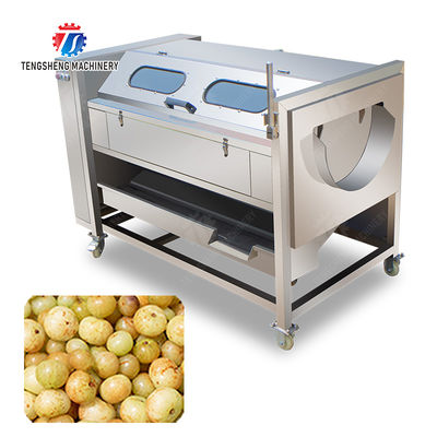 Sealed cover brush peeling machine soybeans  Potato Carrot Taro Sweet potato Yam Saiko persimmon Wash Washer Washing Cleaning Dryer Frozen  processing production Destoning