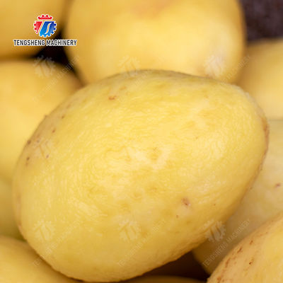 Sealed cover brush peeling machine soybeans  Potato Carrot Taro Sweet potato Yam Saiko persimmon Wash Washer Washing Cleaning Dryer Frozen  processing production Destoning