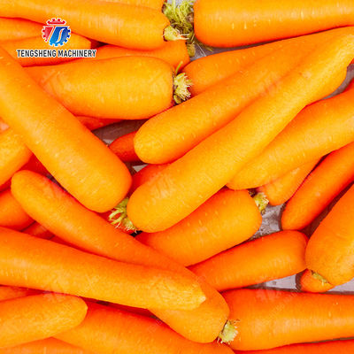 Sealed cover brush peeling machine soybeans  Potato Carrot Taro Sweet potato Yam Saiko persimmon Wash Washer Washing Cleaning Dryer Frozen  processing production Destoning