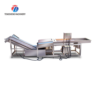 Mushroom slicer Wash Washer Washing Shiitake mushrooms Cleaning Dryer Cutting processing production Machine