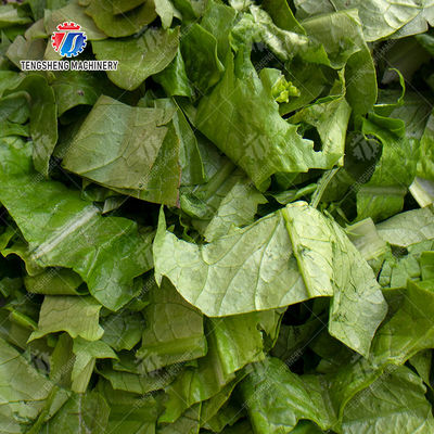 Double-head vegetable cutting machine conveyor belt can be removed Ginger Potato Carrot radish Taro Sweet potato Yam corn Saiko persimmon Leafy vegetables Cutting