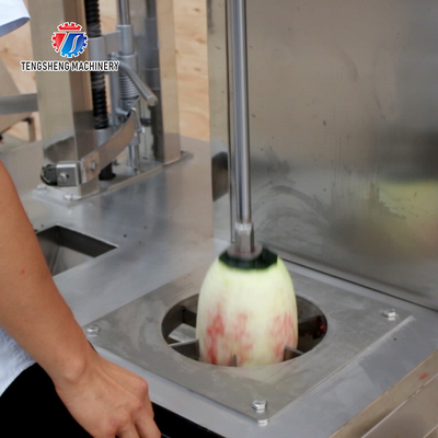 0.75KW 380V Multifunctional cantaloupe and wax gourd peeler Peeling and flapping machine