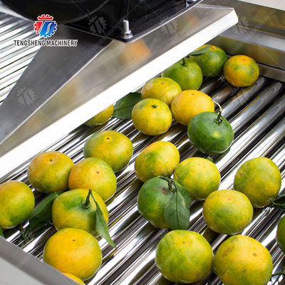 Fruits cleaning and drying production line Fruit Vegetable FOOD processing production Machine