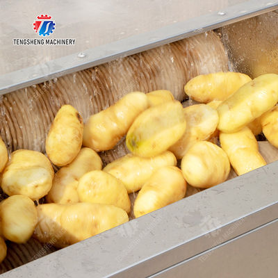 Roller washing and cutting production line Fruit Vegetable FOOD processing production Machine