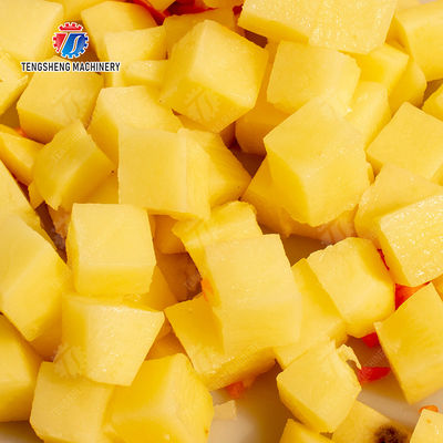 Roller washing and cutting production line Fruit Vegetable FOOD processing production Machine