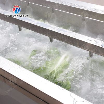 Wash Washer Washing Cleaning Fruit Orange Leaves Vegetables sward beans  soybeans  green beans  chickpeas beans  red beans  mung beans  Vegetables bubble washing processing production machine