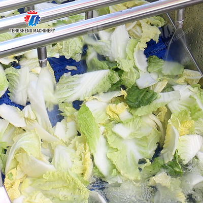 Wash Washer Washing Cleaning Fruit Orange Leaves Vegetables sward beans  soybeans  green beans  chickpeas beans  red beans  mung beans  Vegetables bubble washing processing production machine