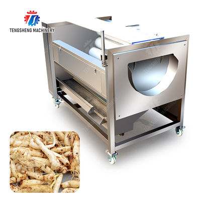 Ginger Potato Carrot Taro Sweet potato Yam Saiko persimmon Papaya Brush cleaning and peeling machine Wash Washer Washing Cleaning Dryer Frozen  processing production Destoning