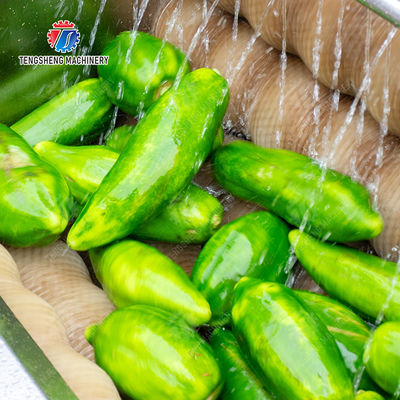 Sealed cover brush peeling machine soybeans  Potato Carrot Taro Sweet potato Yam Saiko persimmon Wash Washer Washing Cleaning Dryer Frozen  processing production Destoning