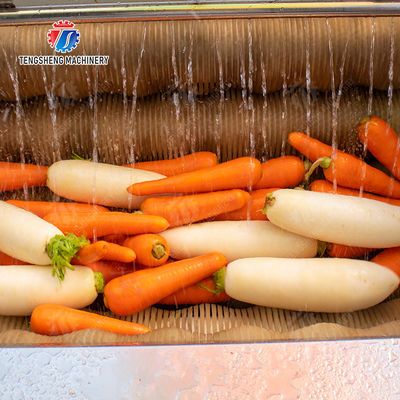 Sealed cover brush peeling machine soybeans  Potato Carrot Taro Sweet potato Yam Saiko persimmon Wash Washer Washing Cleaning Dryer Frozen  processing production Destoning