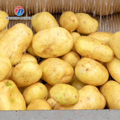 Sealed cover brush peeling machine soybeans  Potato Carrot Taro Sweet potato Yam Saiko persimmon Wash Washer Washing Cleaning Dryer Frozen  processing production Destoning