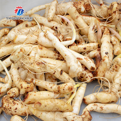 Sealed cover brush peeling machine soybeans  Potato Carrot Taro Sweet potato Yam Saiko persimmon Wash Washer Washing Cleaning Dryer Frozen  processing production Destoning