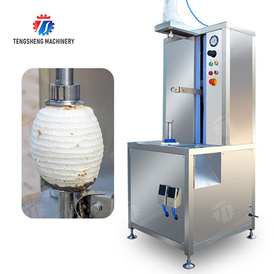 papaya chieh-qua pumpkin wax gourd pineapple Vertical single knife peeling machine watermelon Hami Melon Peeling polishing
