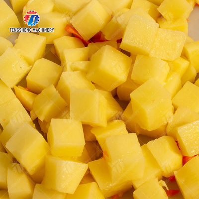 1.5KW 220V Vegetable Processing Machine Electric Commercial Fruit And Vegetable Cutter