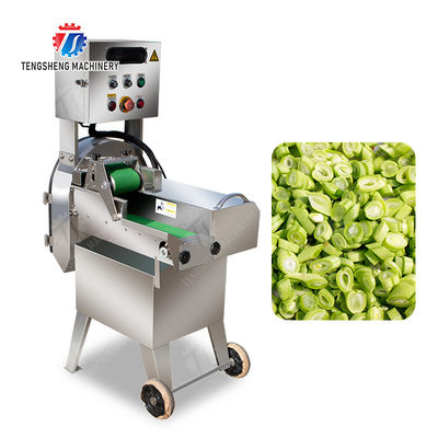1000KG/H Commercial Stainless Steel Potato Cutting Machine (TS-Q115)