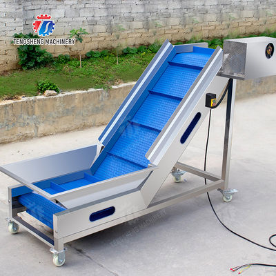 Washing Hoisting machine Fruit Orange Vegetable Apple pineapple Ginger Potato Carrot Sweet potato Yam cucumber chili onion okra Lettuce Cao Xin Baby Cabbage Chinese Cabbage processing production