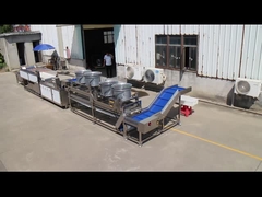 خذ خط معالجة الفاكهة والخضروات إلى المستوى التالي مع آلة الفرشاة الموازية TS-M100